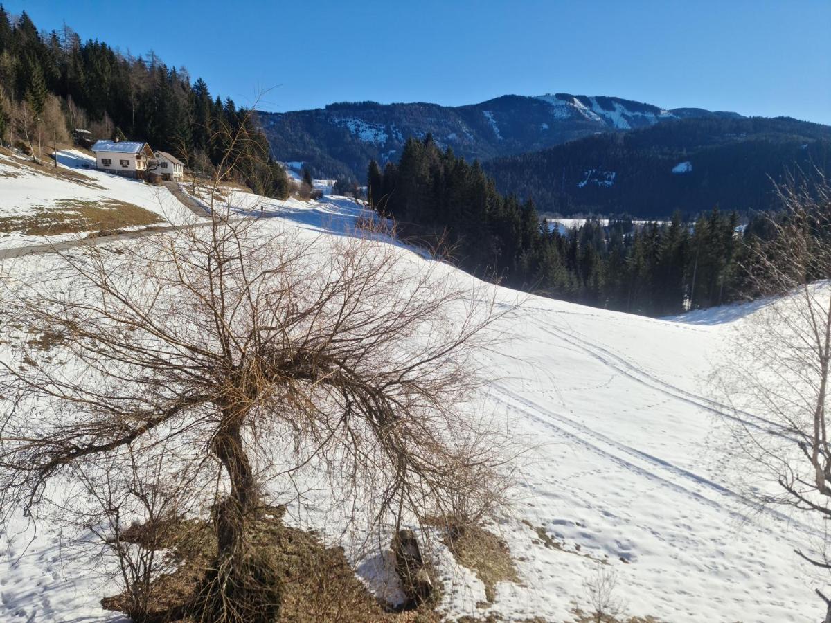 Schoene Ferienwohnung Im Naturpark Grebenzen Sankt Lambrecht Exteriér fotografie