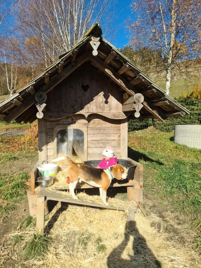Schoene Ferienwohnung Im Naturpark Grebenzen Sankt Lambrecht Exteriér fotografie
